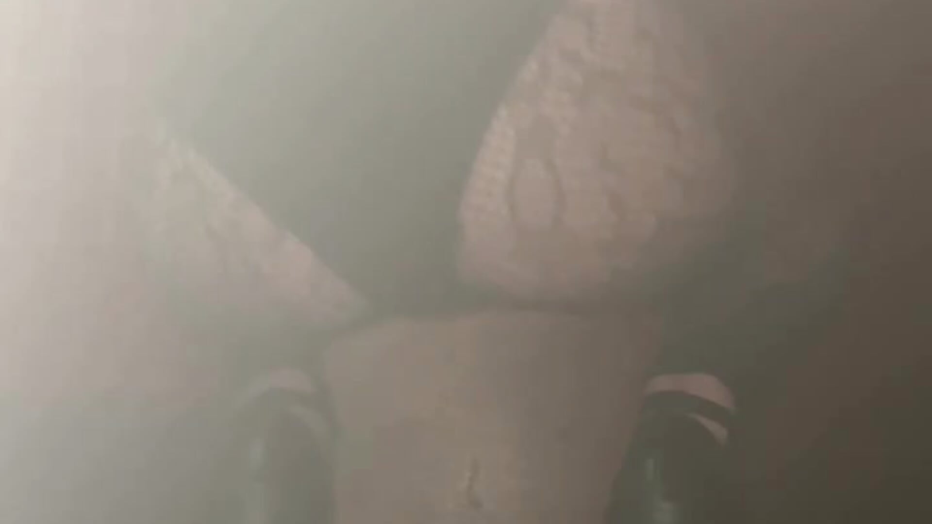 Ass - video by Missj_ cam model