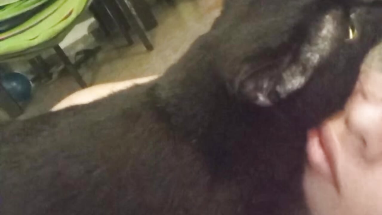 Spoiled Hermes - video by Lea_Hunter_ cam model