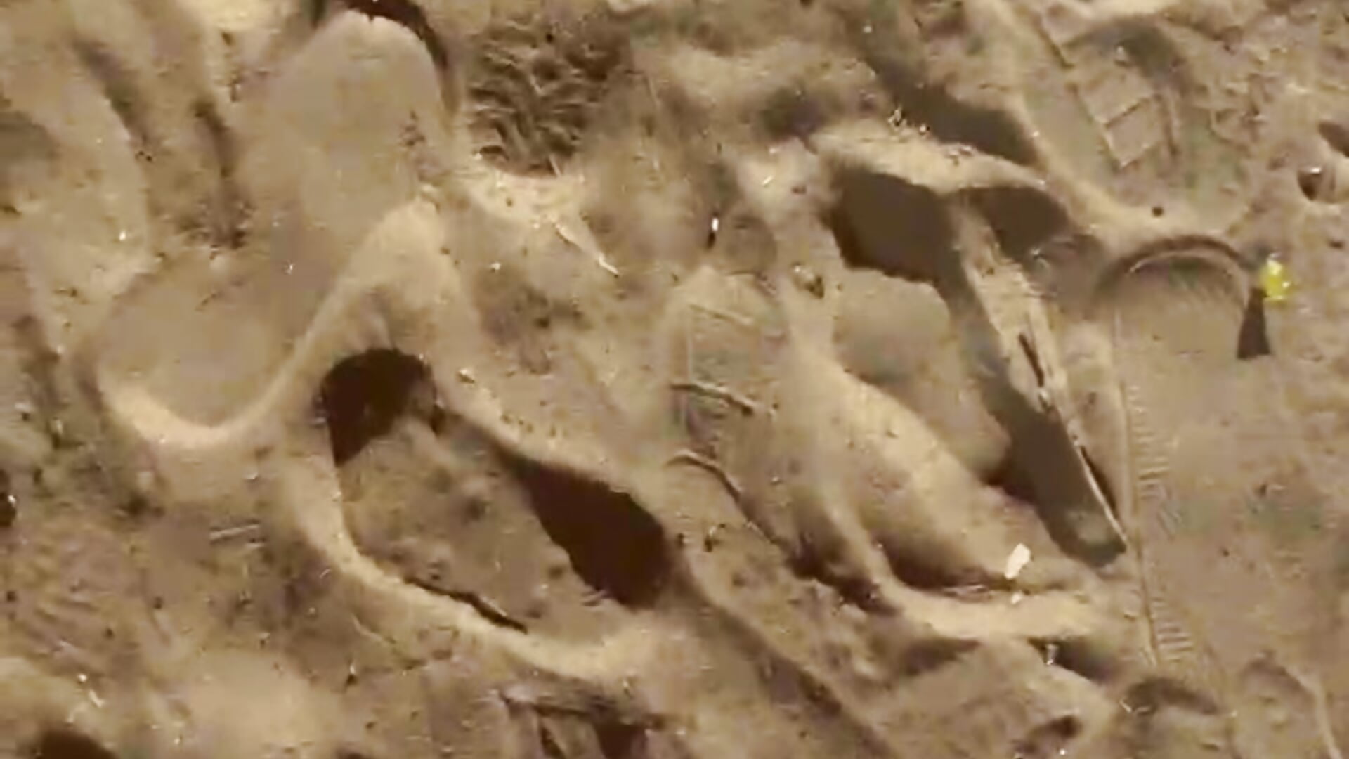 1000269732 - video by telugupilla0925 cam model