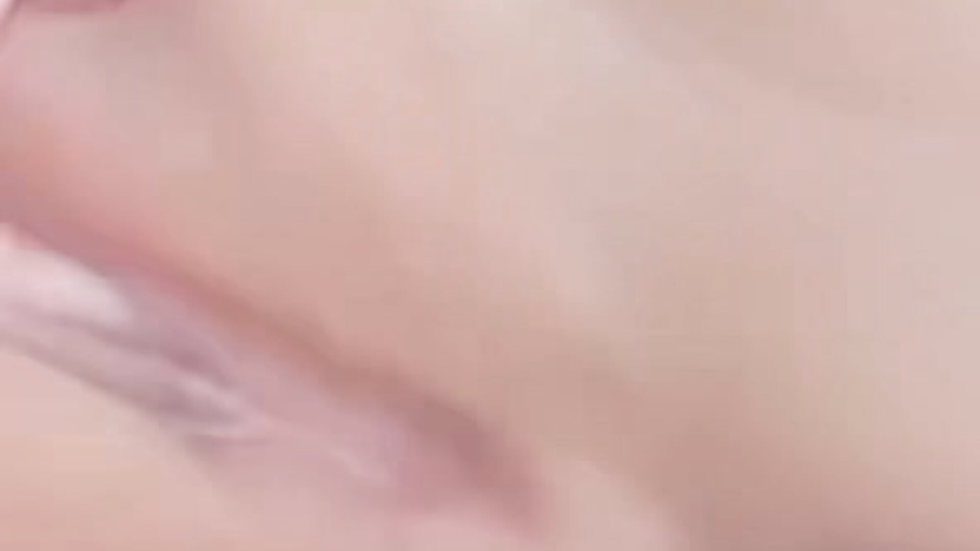 给粉丝团宝宝的福利