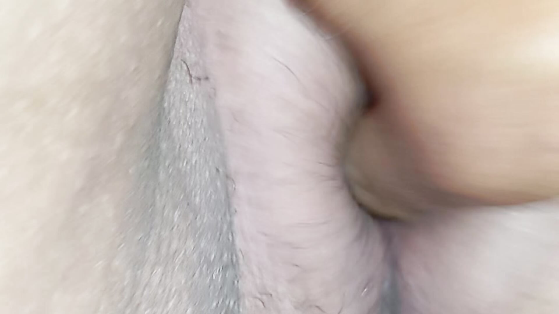 VID_20251211_053754.mp4 - βίντεο μοντέλου pareja_latina1483