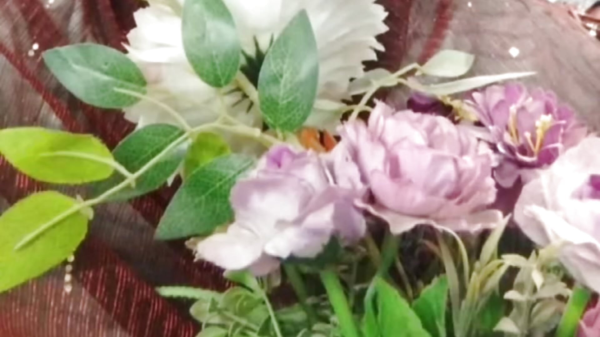 me - video by ridhika- cam model