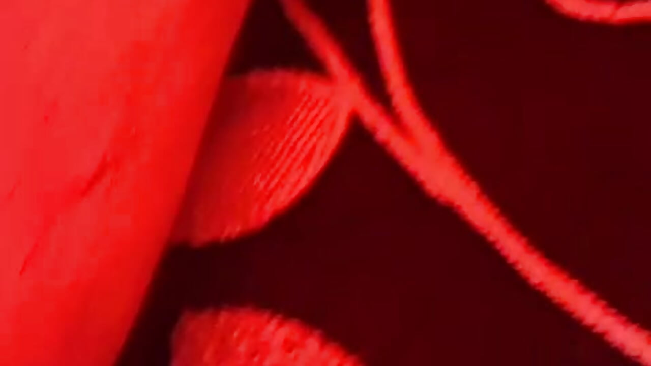Enjoy my cock🍆💋💦 - video od modelky/modela Jaden_and_sofia