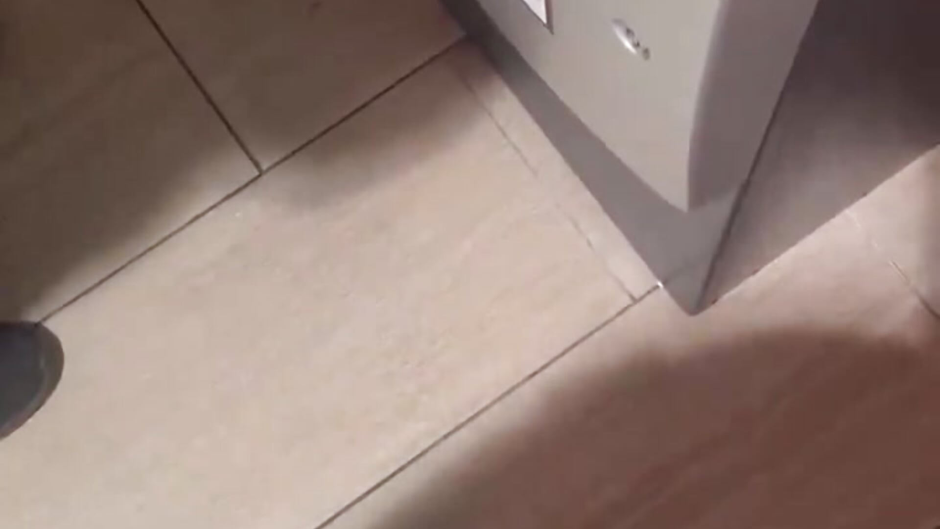 When you meet your 🐷 - video od modelky/modela SubmittoMyBBC