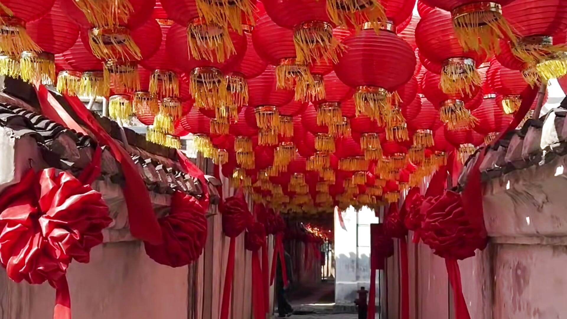 copy_8B52D1E8-20CC-42BC-B345-906D12C3A244 - mo-mo-69主播的视频