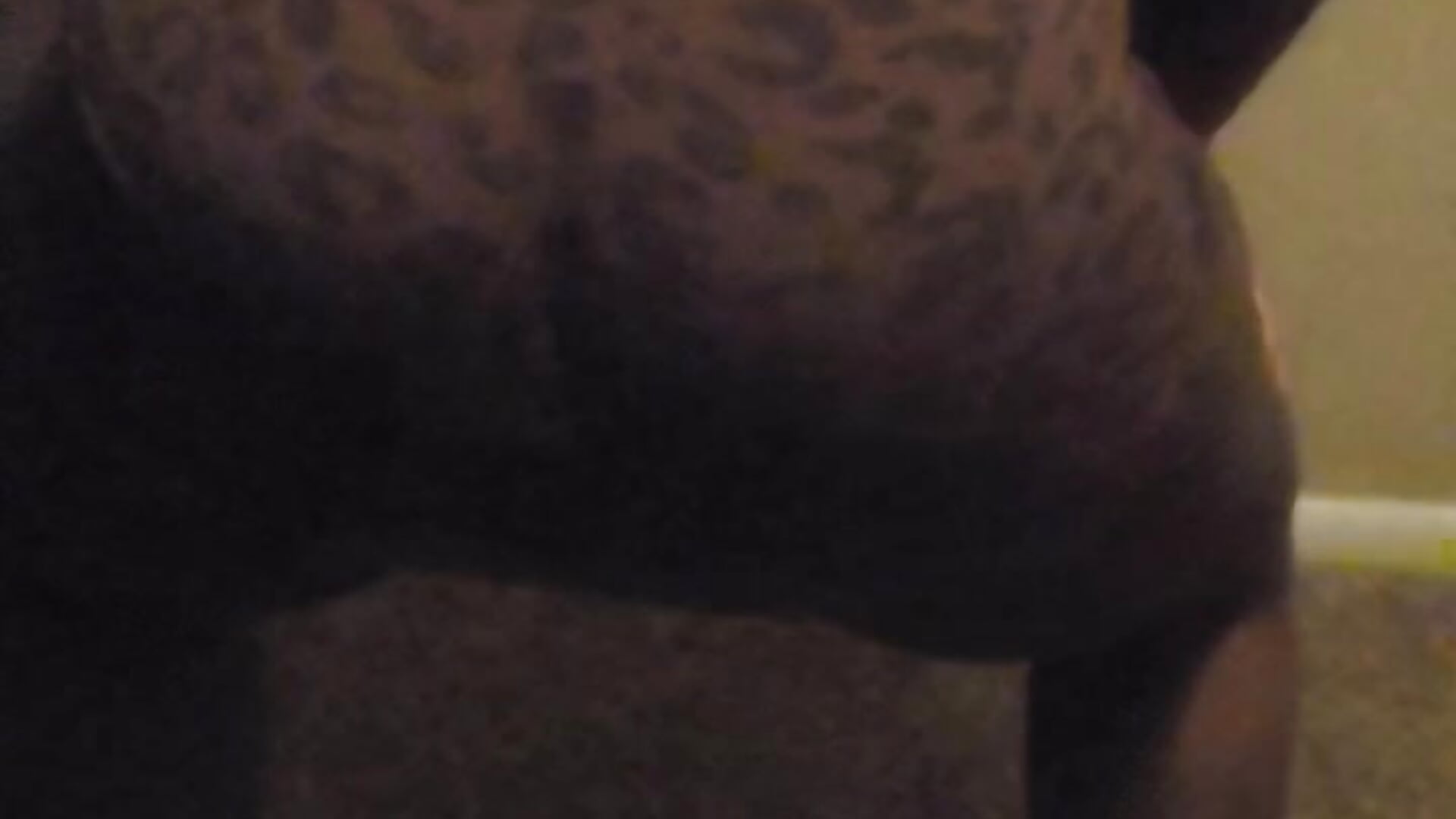 Panty glance 🤪 - video di Wetness_Stargazz modella di cam