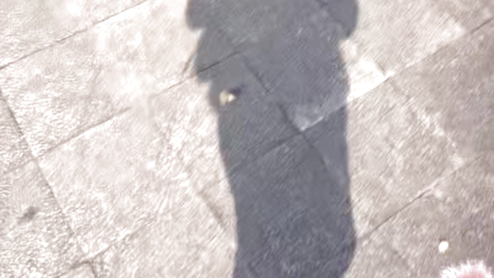 微信视频2026-01-04_144236_525 - video van -J-o-y- cam-model