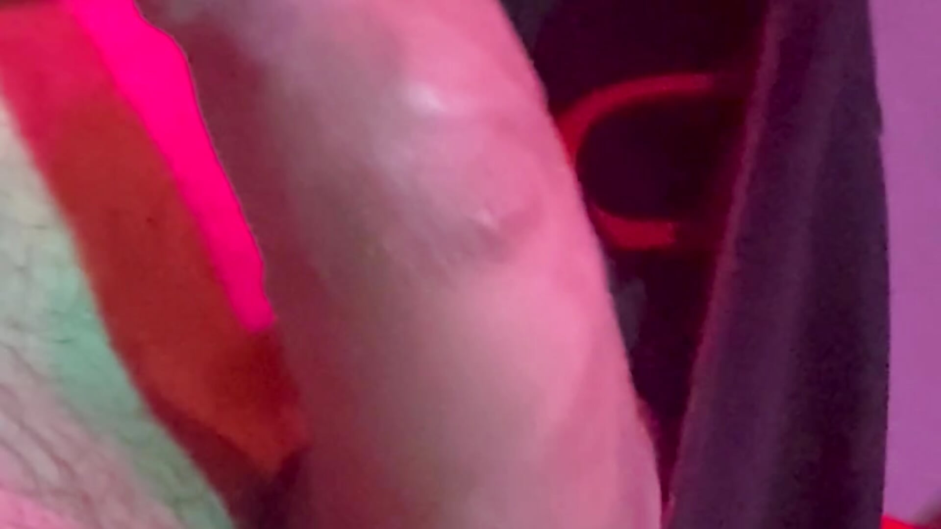 IMG_4494－カメラキャストのTumblecockweedの動画