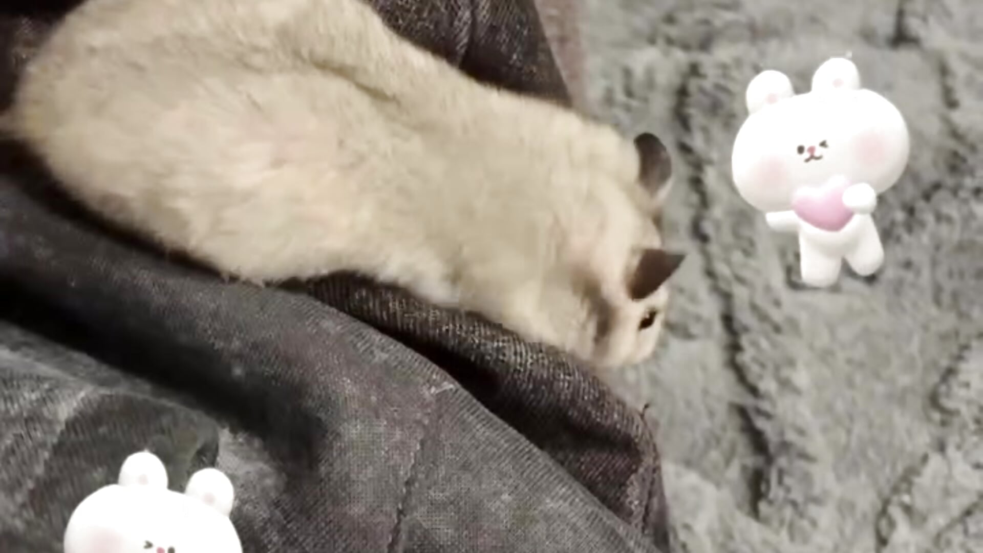 my little piece of life ♥ - video av SirenThalassa cam model