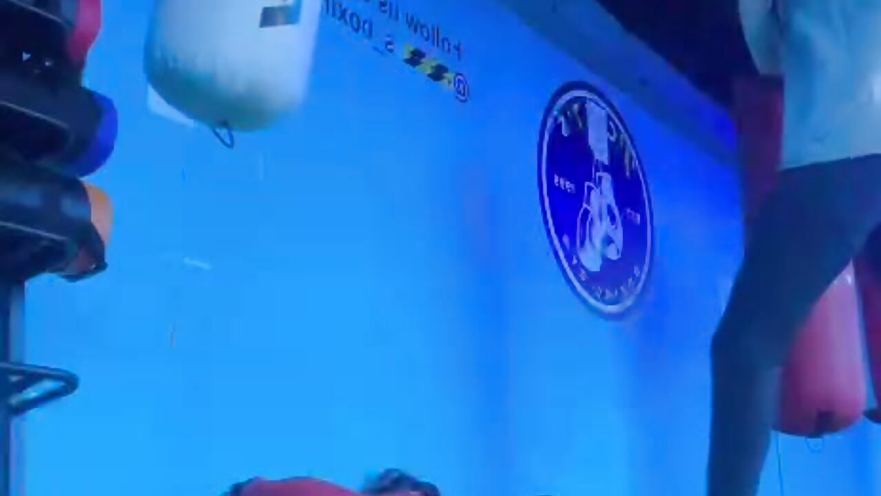 My vibe🦾 - video by Jaidii_ cam model