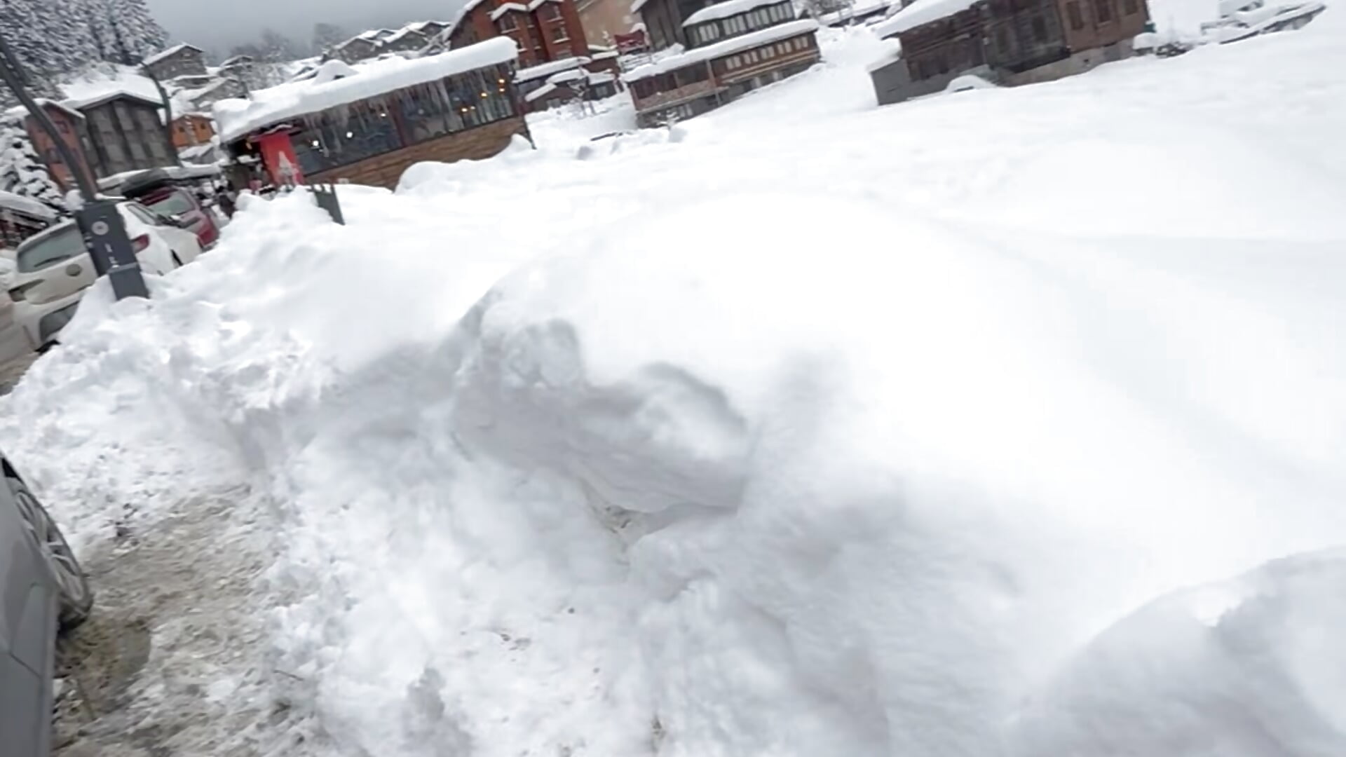 IMG_2453 - ibii5353主播的视频