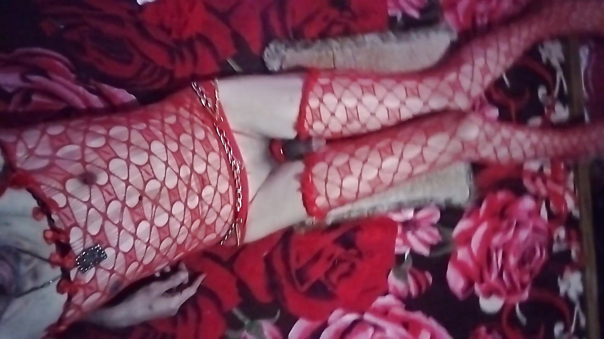 ملفي التعريفي - فيديو من Alexgayass موديل الكام