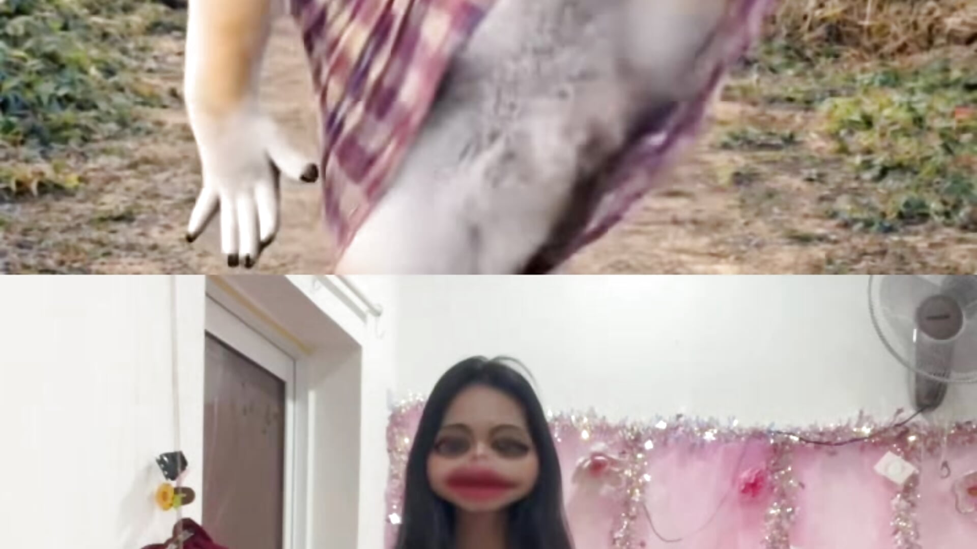 🤭🤭🤭🤭🤭