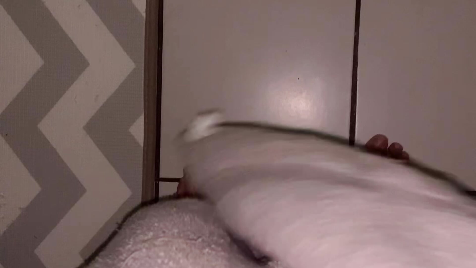 400CBFD3-EBE9-4D4F-878D-CB0B4AB440EC - video od modelky/modela LaH753