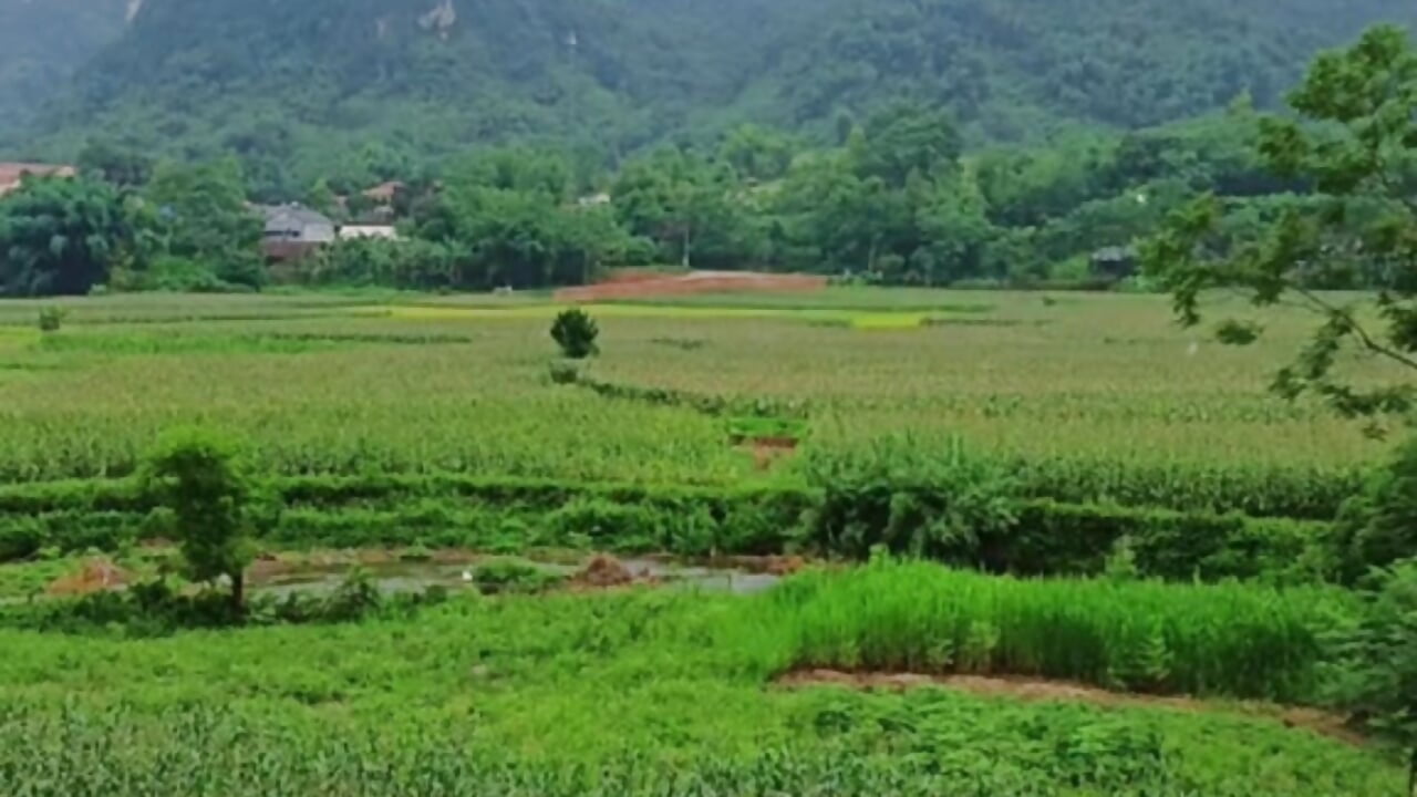 SAU NHÀ - video od modelky/modela Sweet--Sexy