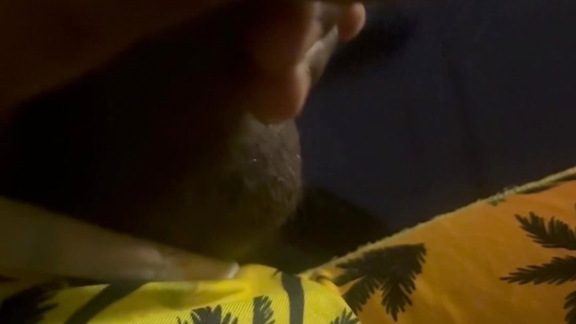 IMG_2950 - відео від вебкаммоделі Quuwavve