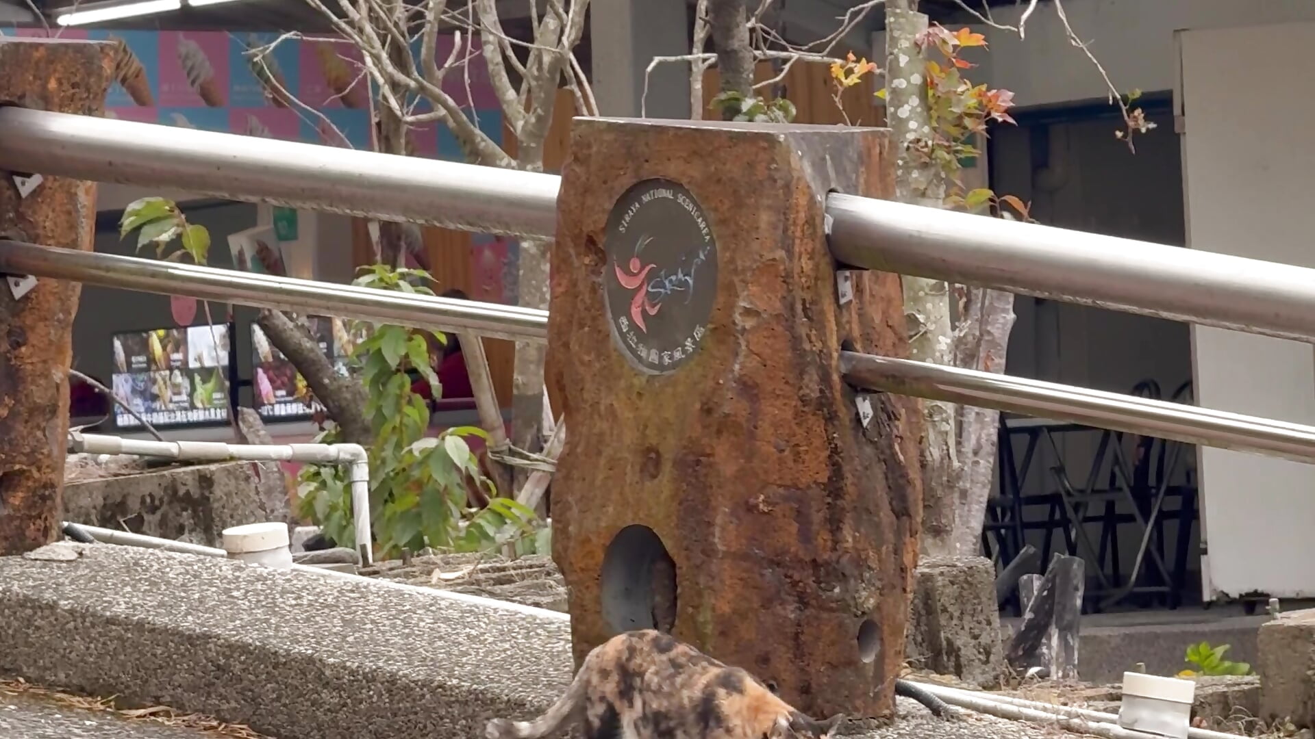 IMG_1560 - video by Nunu_babii cam model