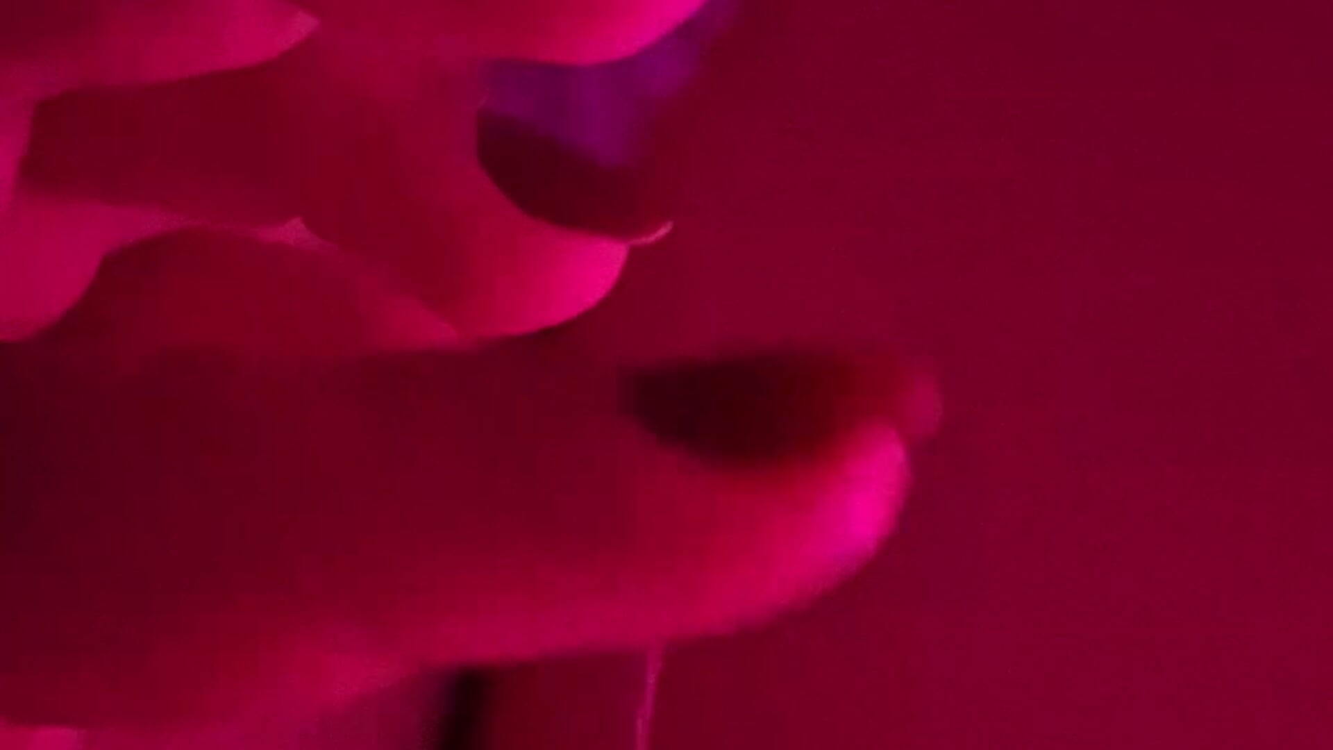 67166 - video by MarrySantiago cam model