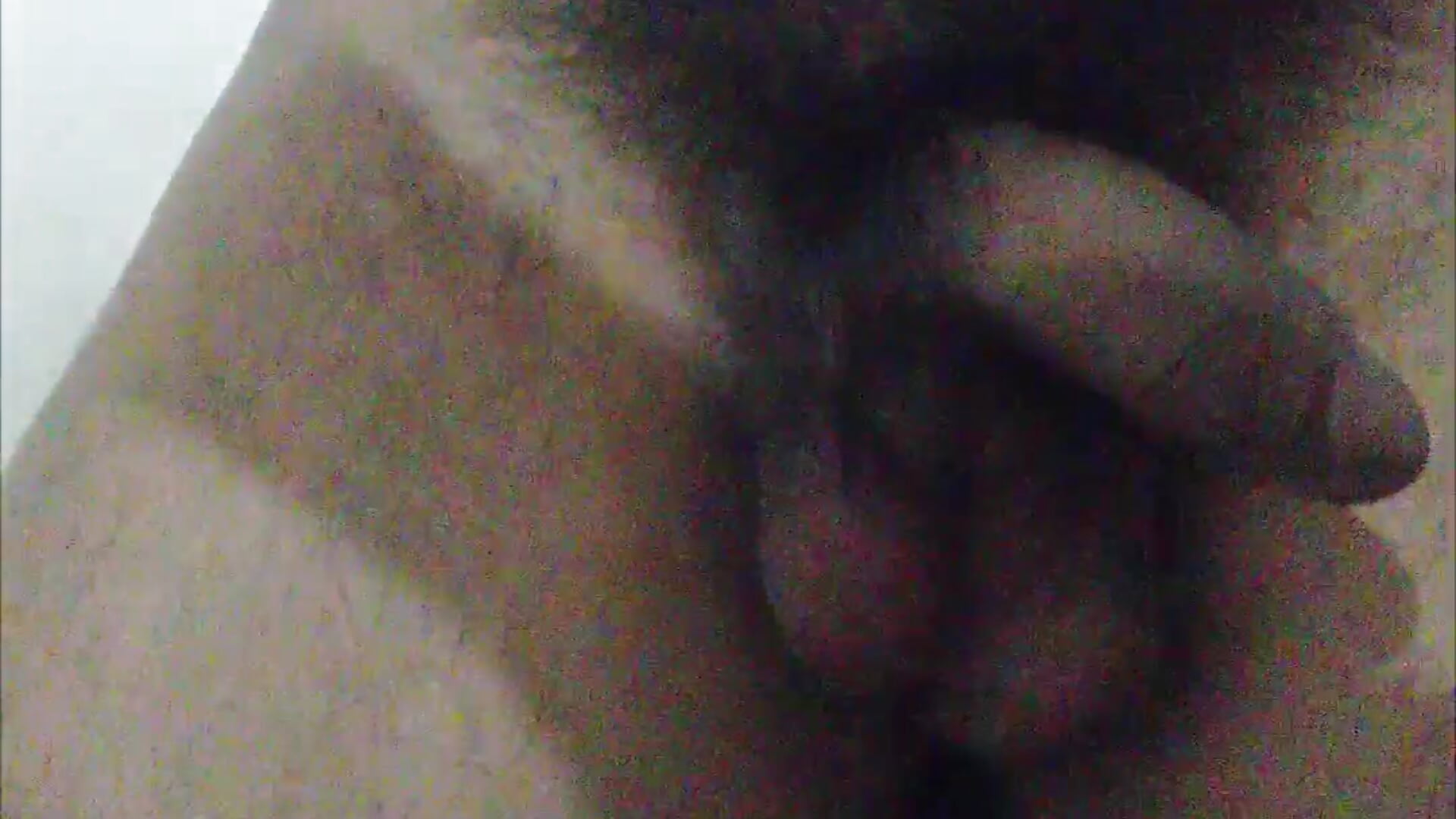 Toro - video by machotoro cam model