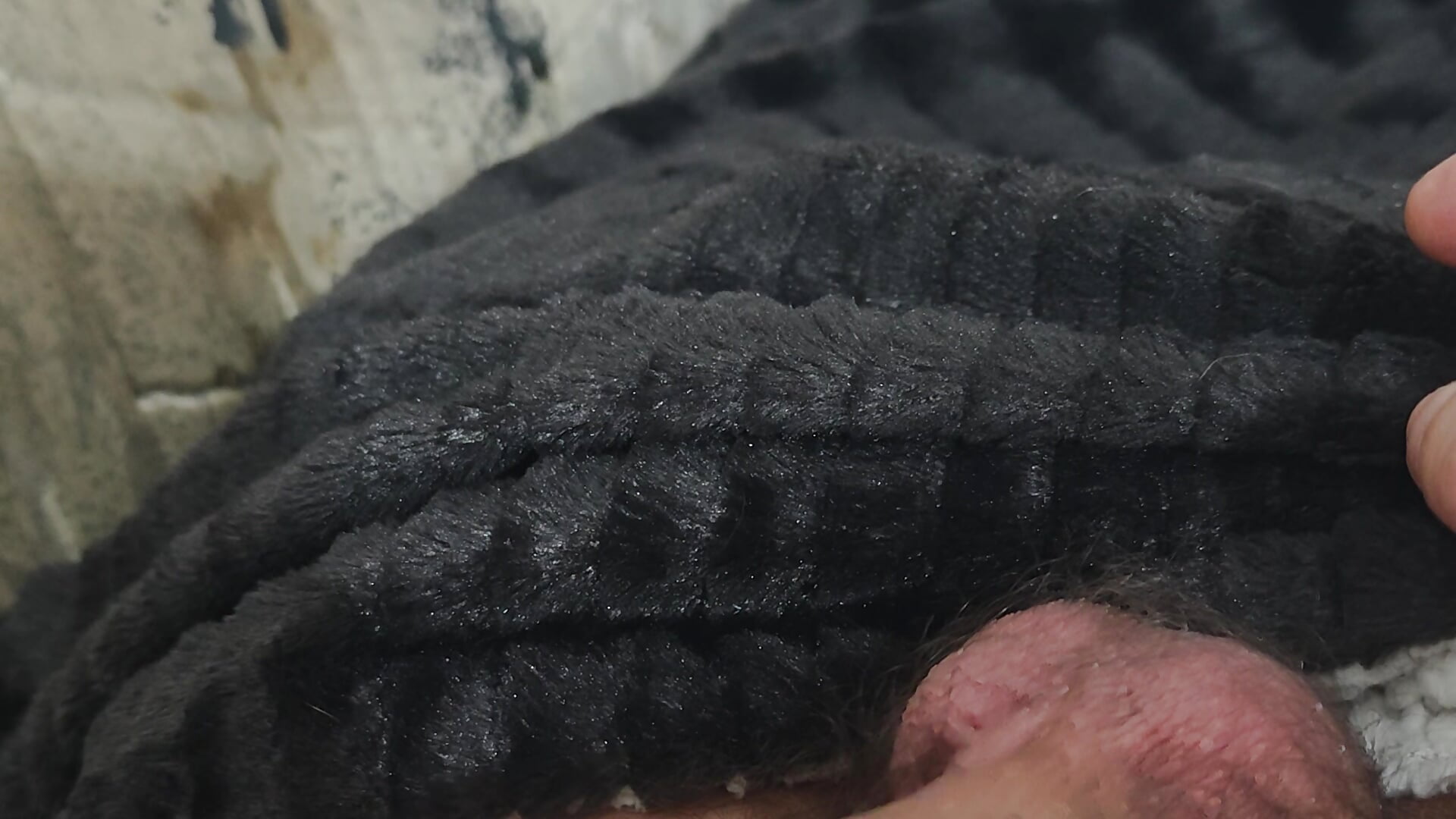 Shake dick well....🥰 - ক্যাম মডেল bigsweetdick87-এর ভিডিও