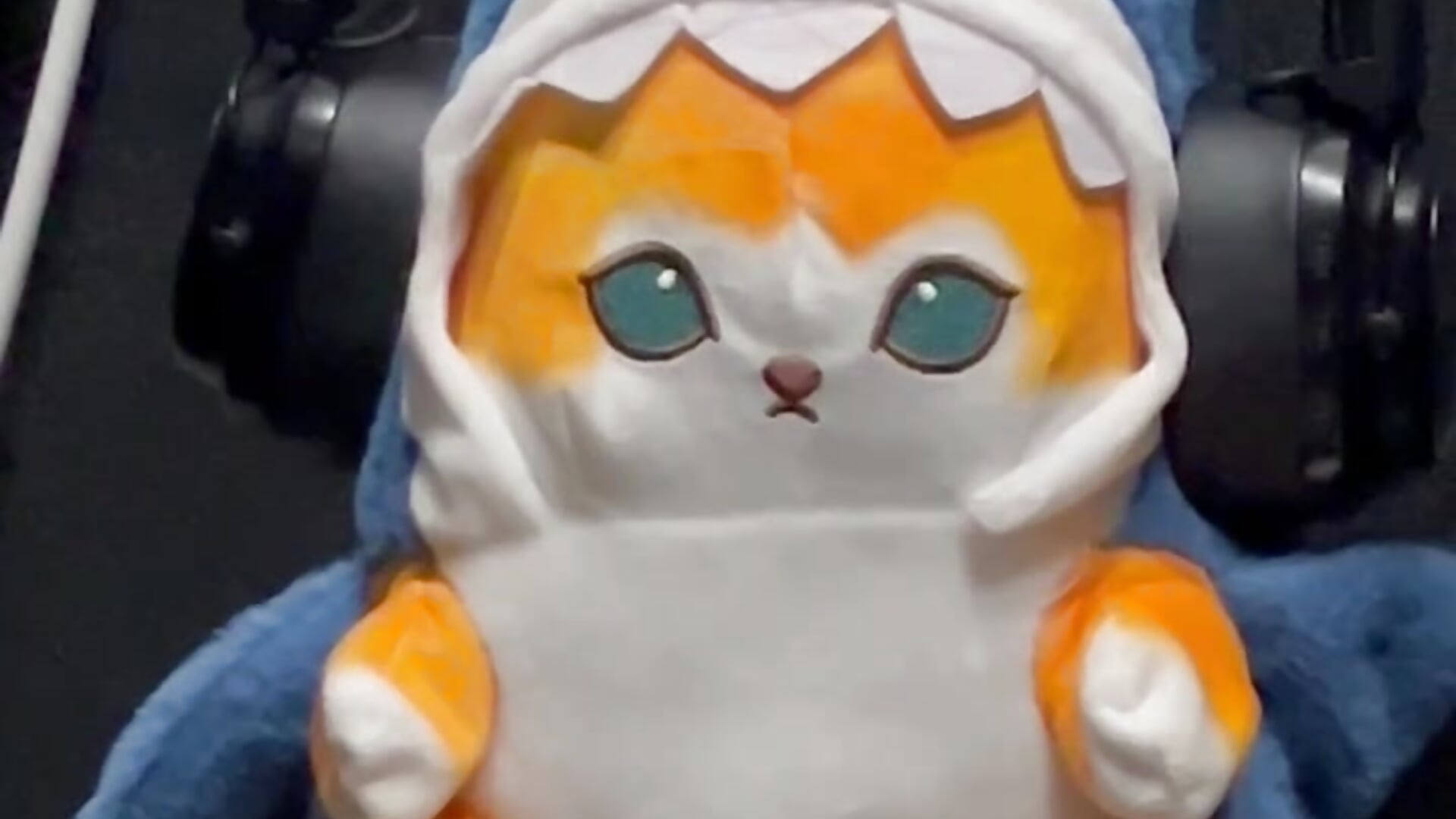 IMG_4454－カメラキャストのMastur_Bisterの動画