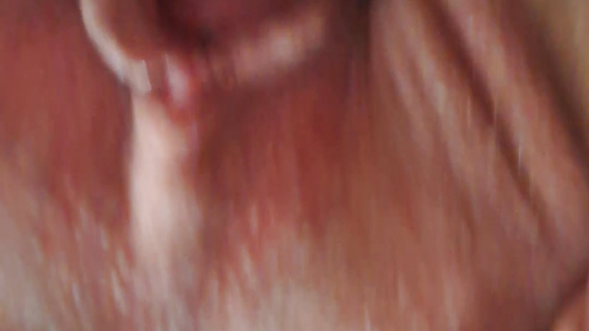 Close up of cream pie