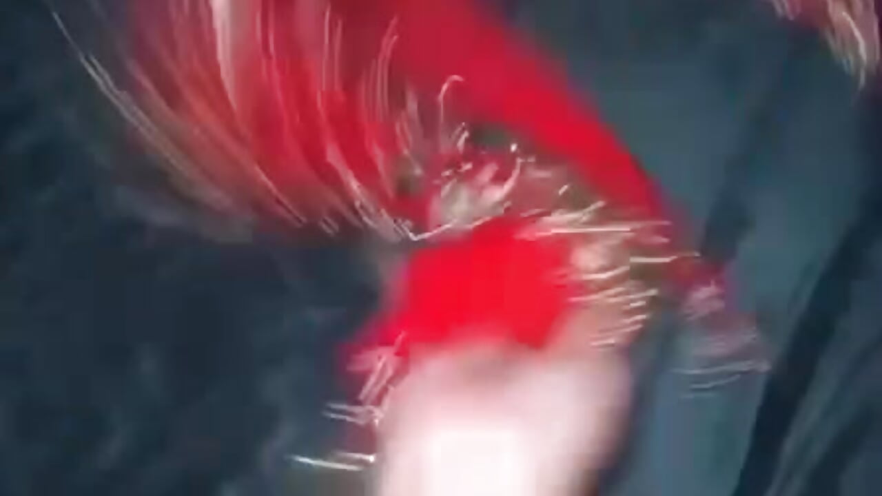 VID-20251228-WA0000 - Mastres-femdoom-cucklod 캠 모델의 동영상