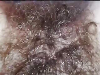 Bush close up (video) - فيديو من jodieangel4_sin موديل الكام