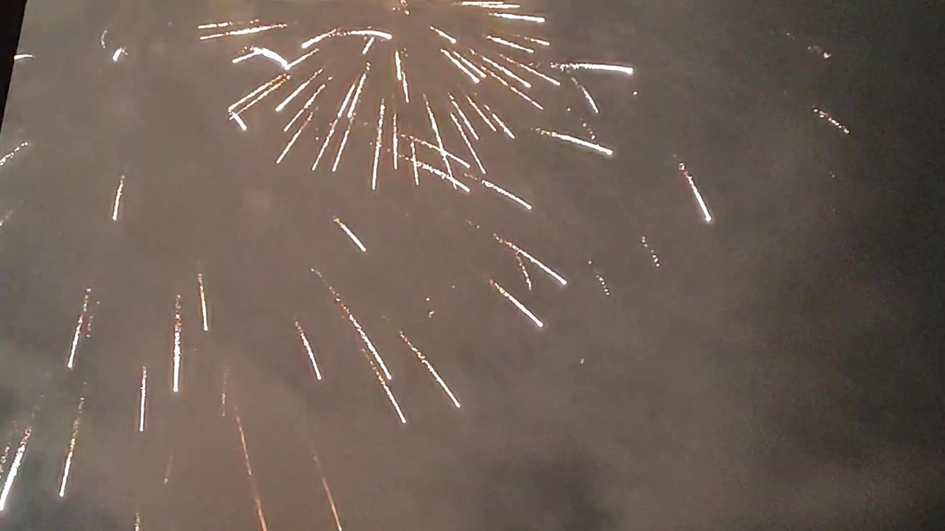 1000051339 - відео від вебкаммоделі TAMI61