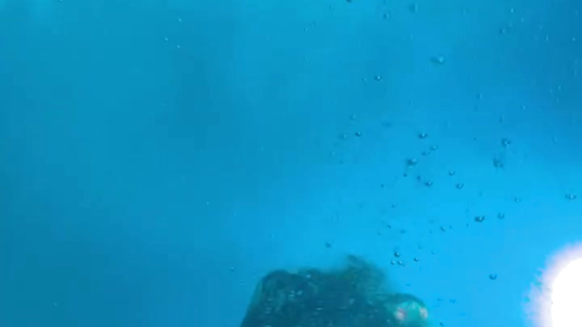 Me - video av AnnaWest cam model