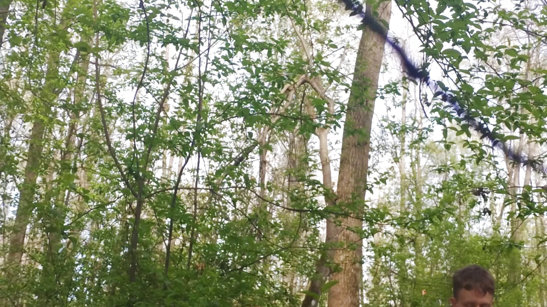 В лесу – video af Anti-atom cam-model