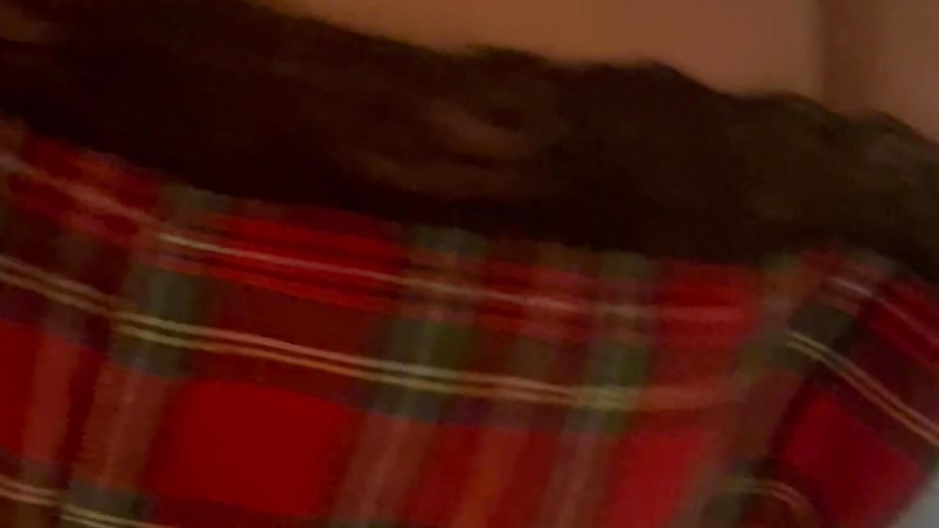 A little teaser for you 😉 – видео вебкам-модели Lfc26