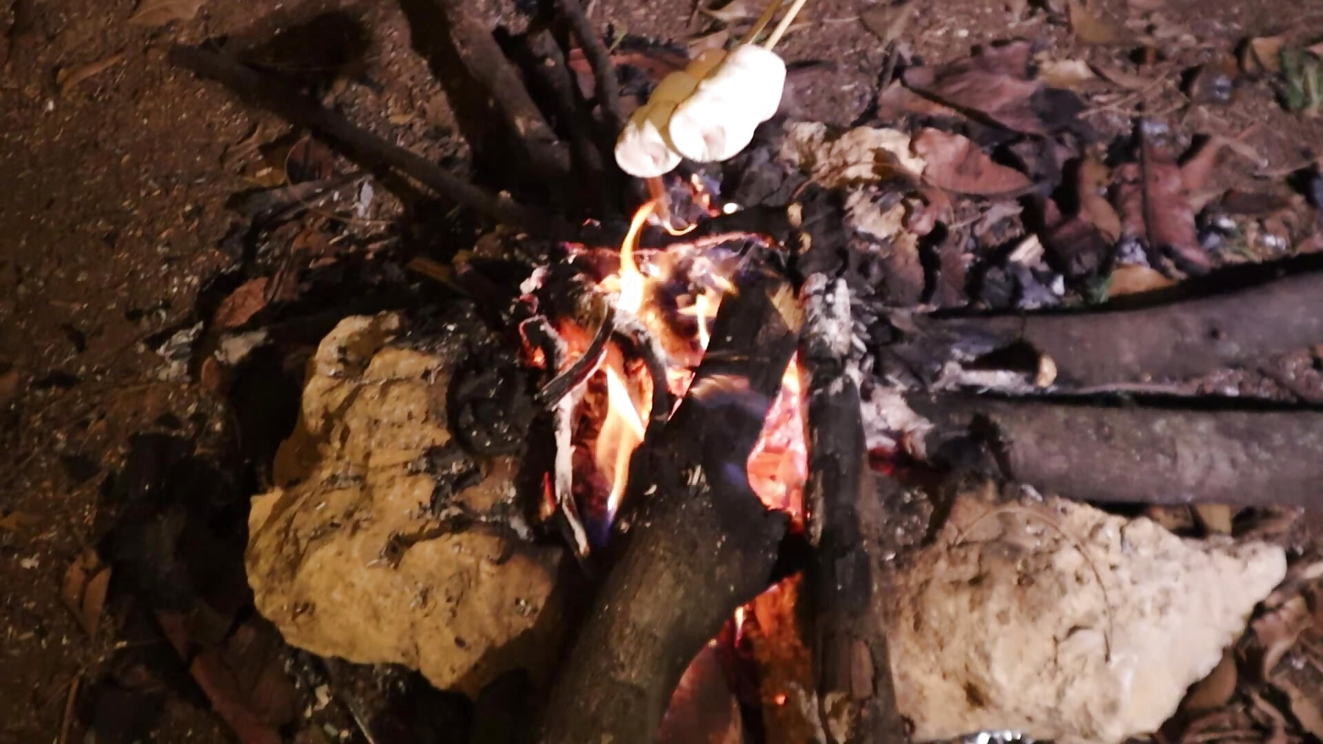 ... - video by _erick_j cam model