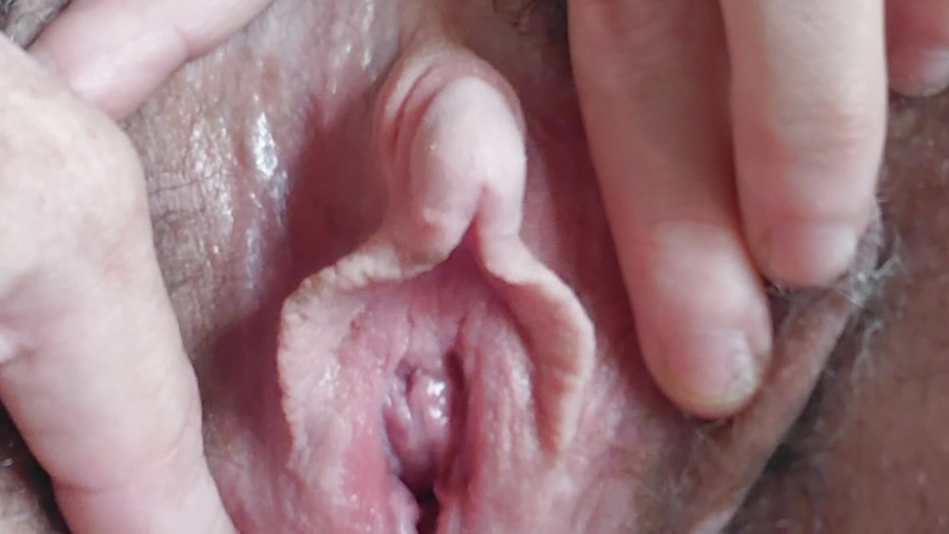 Hungry & hairy pussy