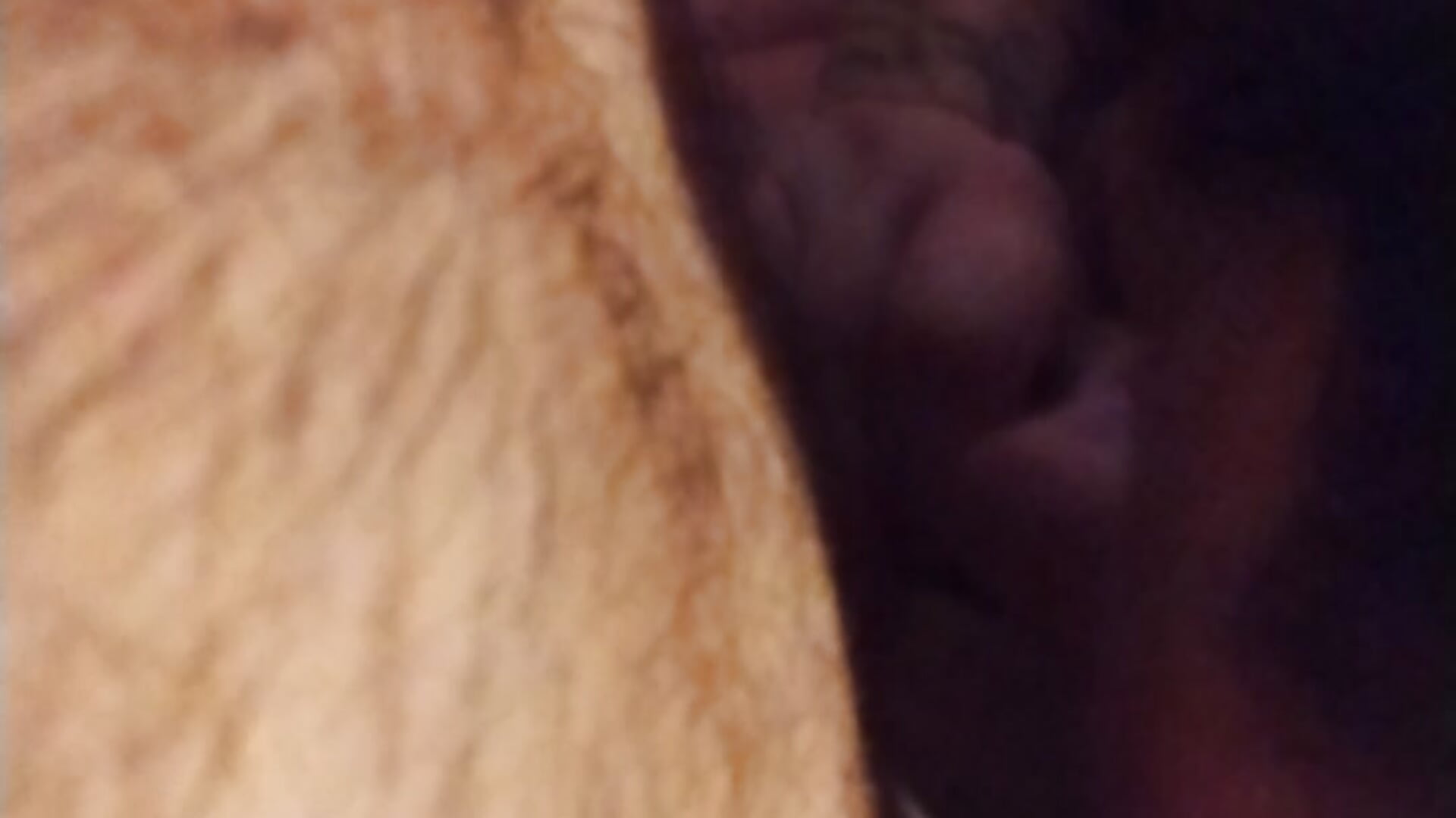 Sucking dick - video by deeandjen cam model