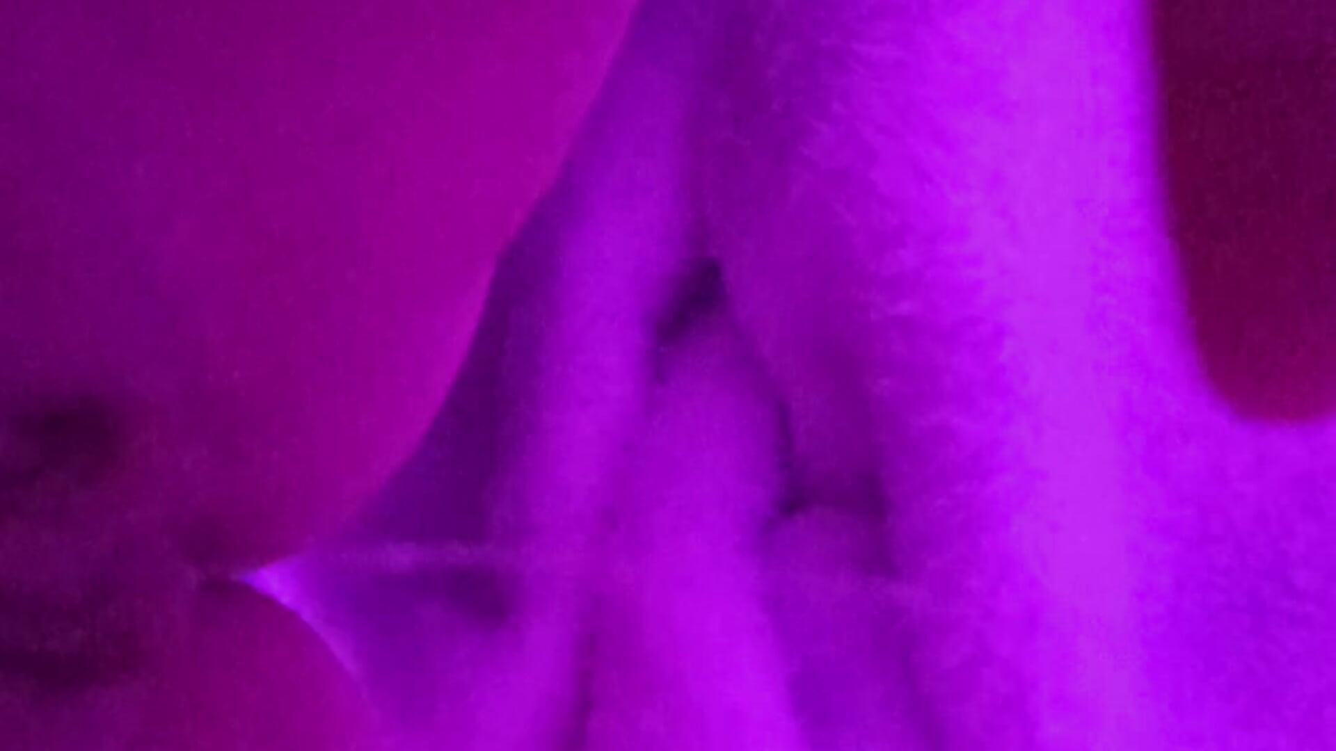 Princess taste - video av _Freckless_ cam-modell