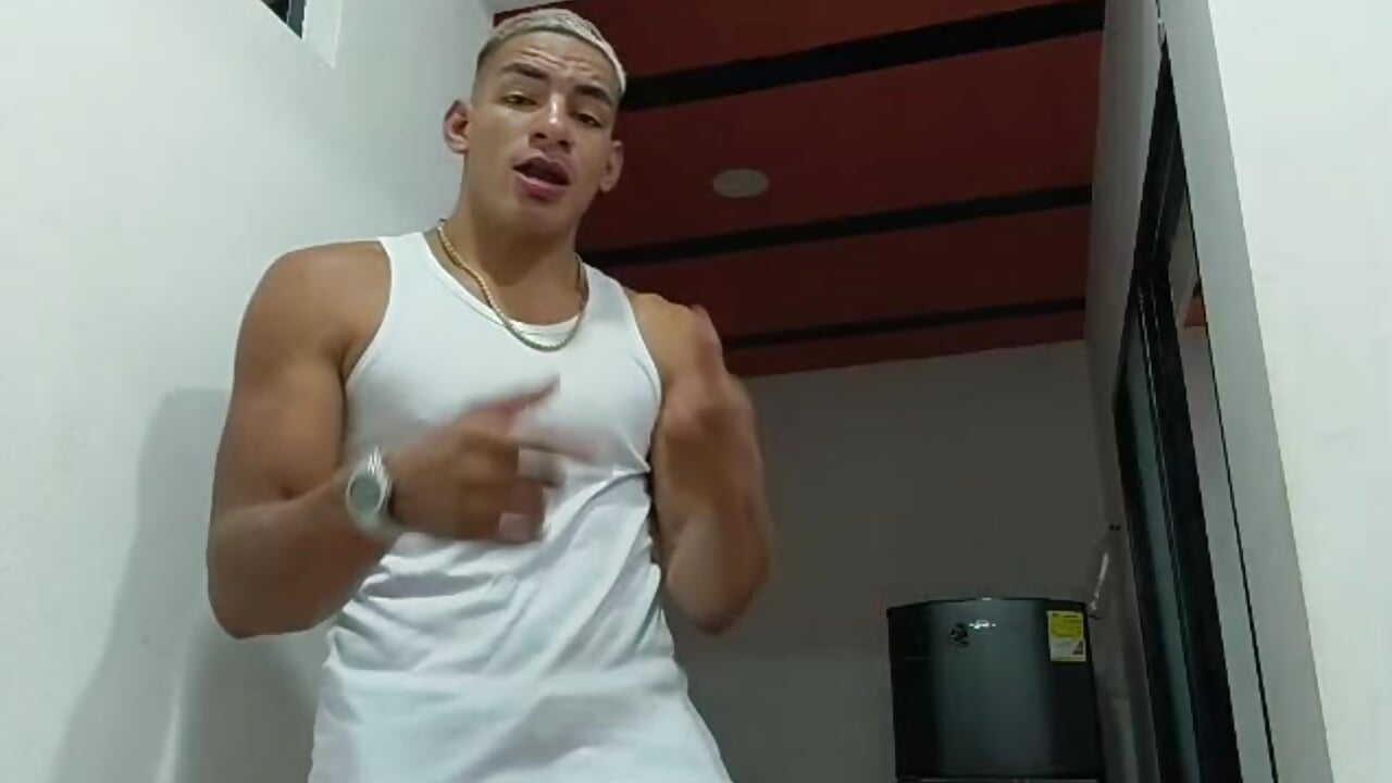 WhatsApp Video 2026-01-05 at 8,21,55 AM - video van elnegro224 cam-model