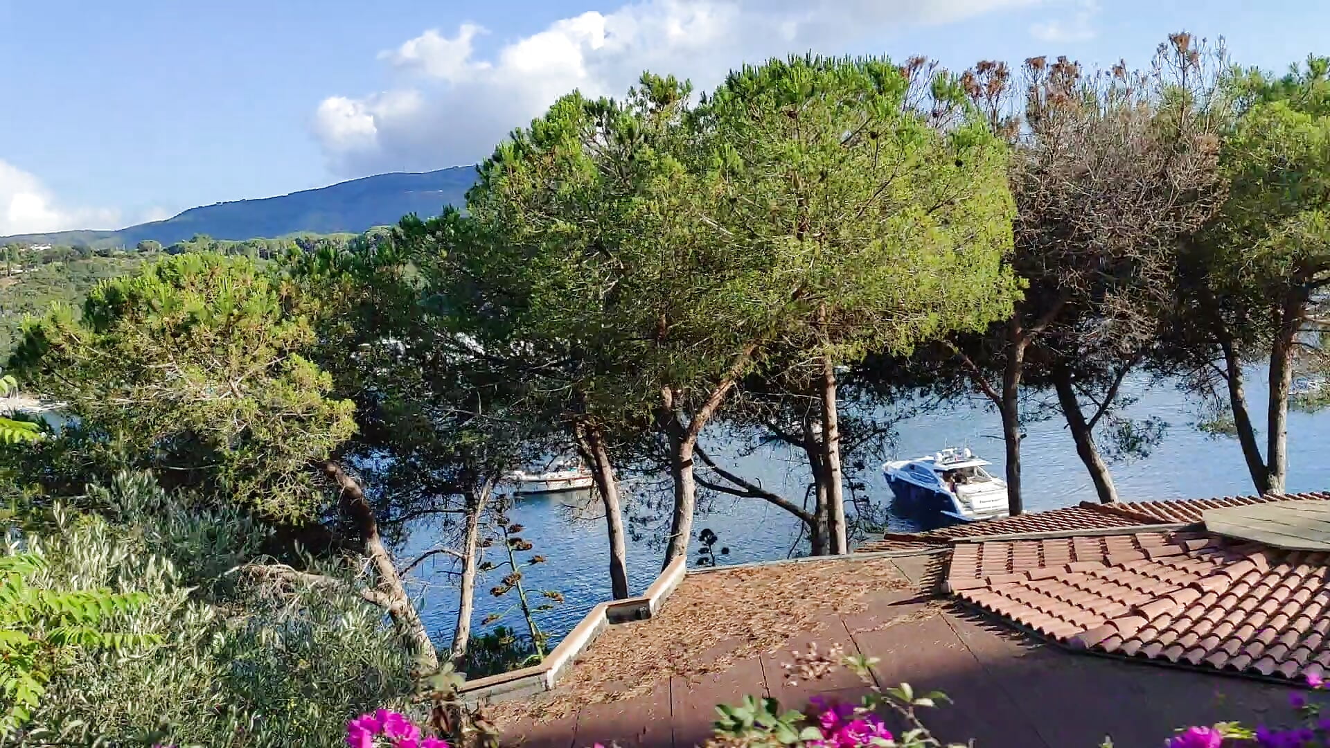 Elba