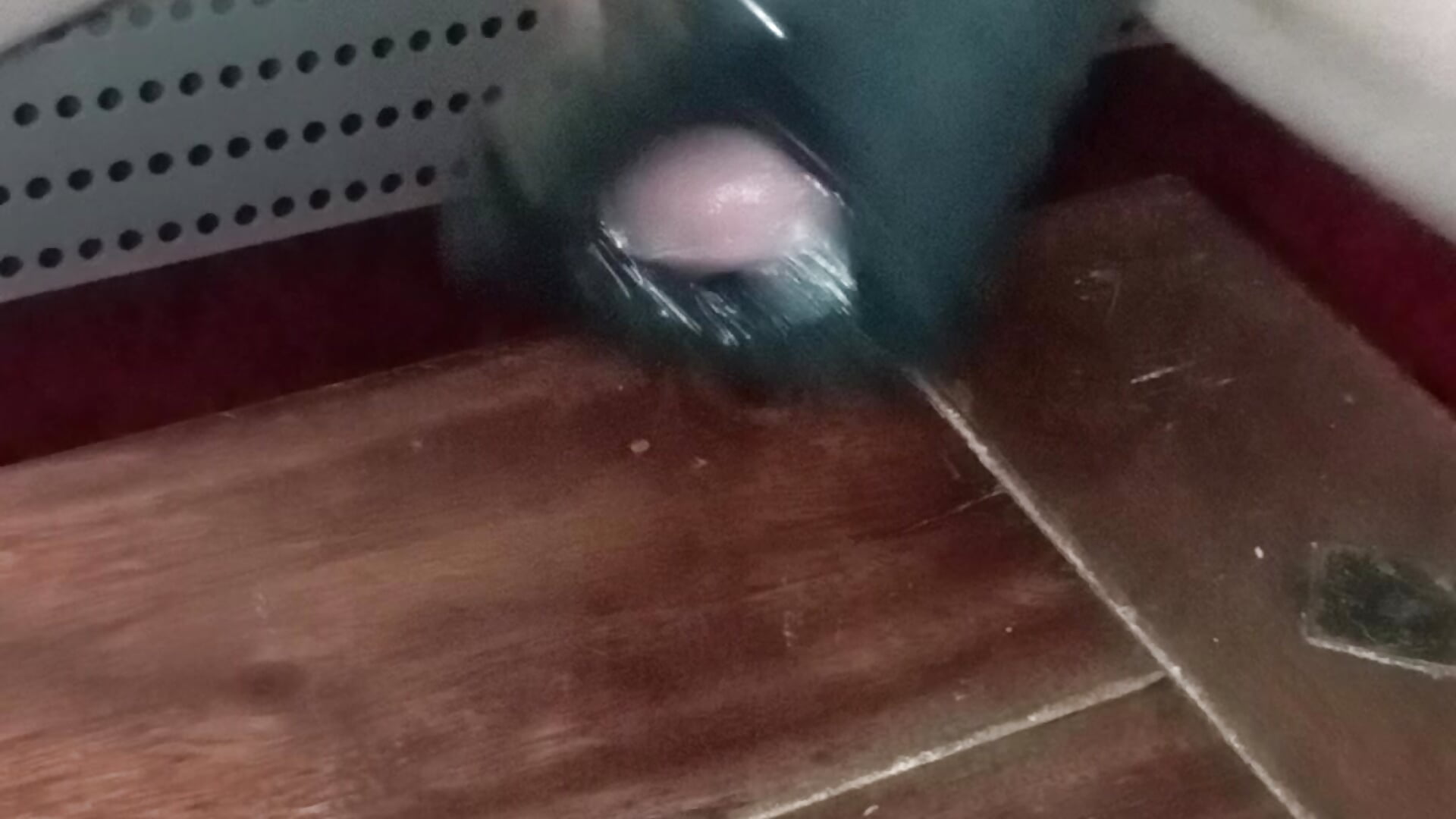 VID_20251105_053017 - відео від вебкаммоделі Der_Schoene_Penis