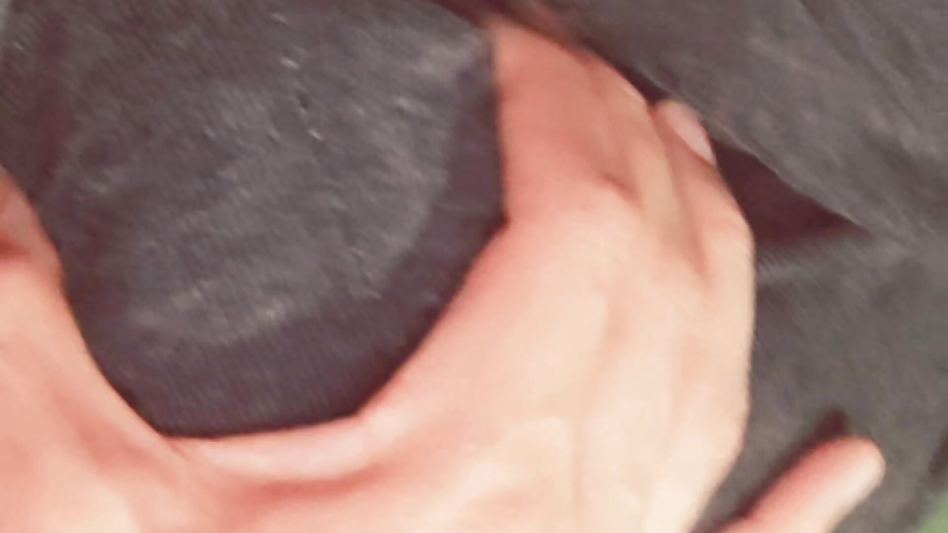 Agarrones 🤤 - فيديو من Gassybb موديل الكام