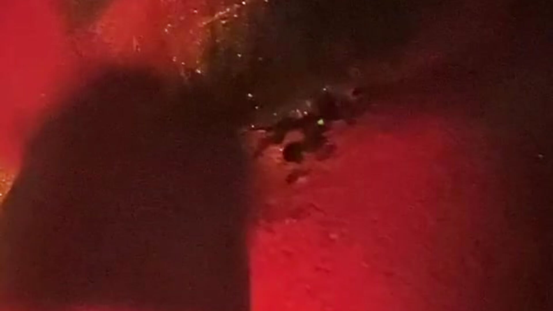 👹🔥 - video by Gassybb cam model
