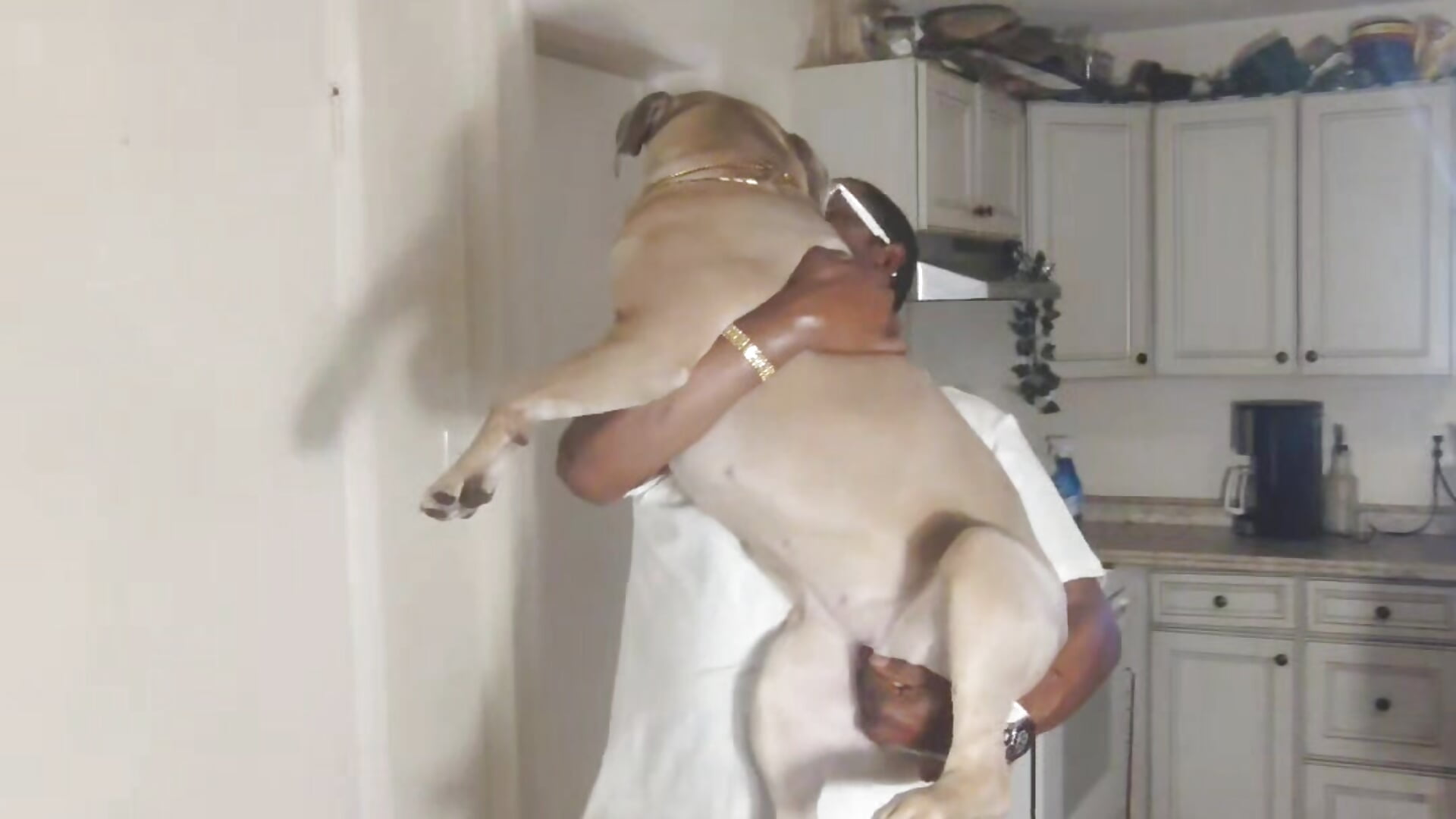 Smart puppy - vidéo du modèle de showcams B4KINC