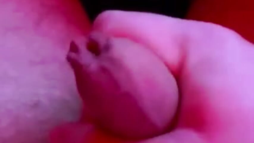 Wichsen 3.0－カメラキャストのDominic2295の動画