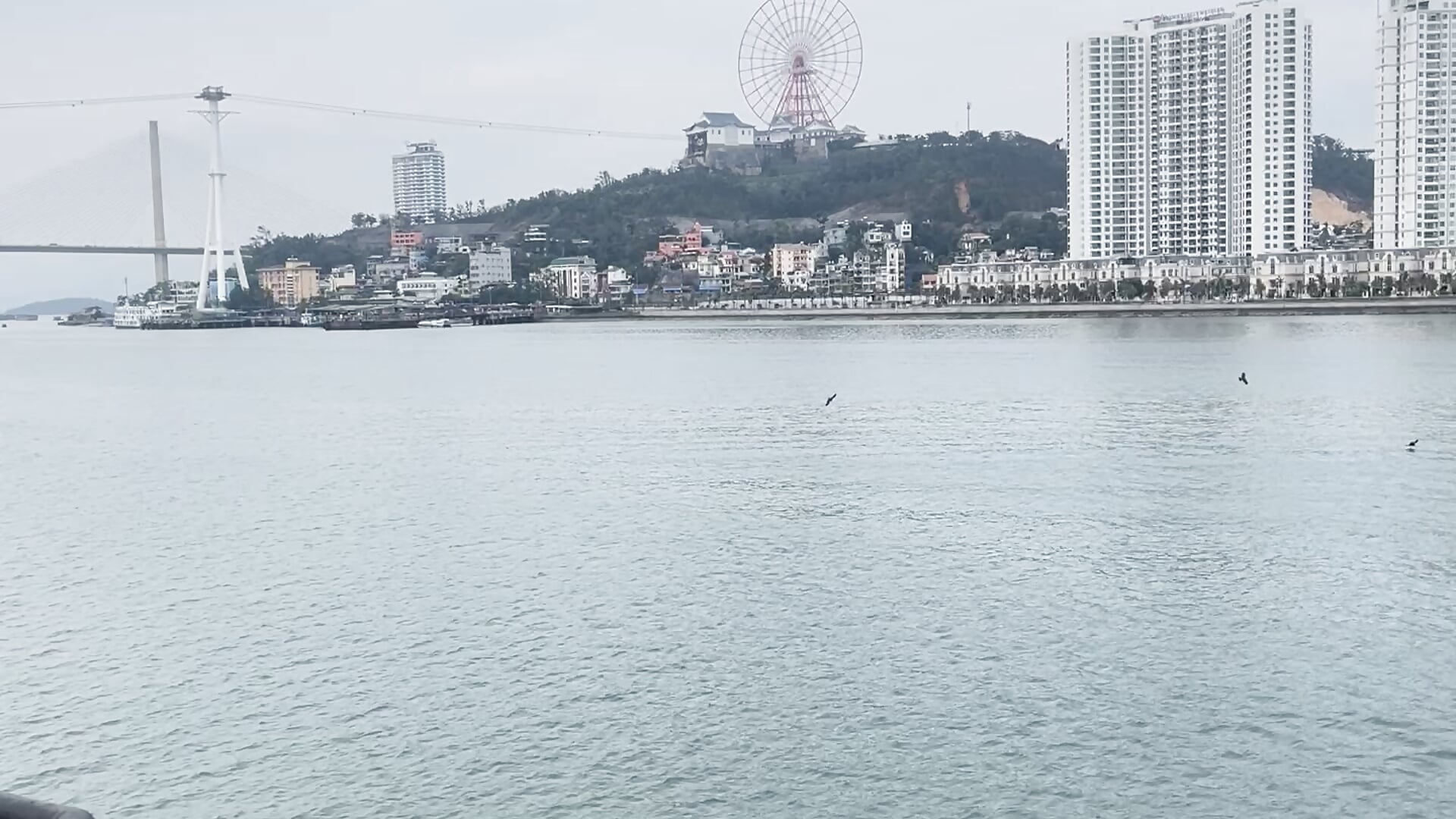 IMG_1385 - video của người mẫu cam Donlphin76