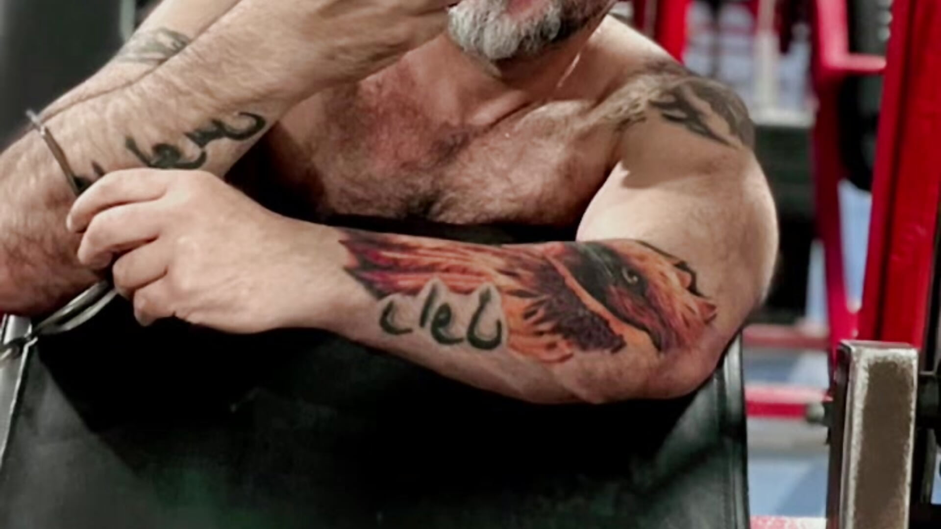 6b568753ea31479098d9a61755ae0913– wolfbucker kameramodell videója