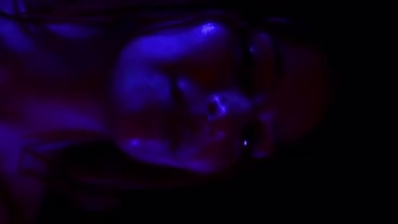 know me better－カメラキャストのlia_cornerの動画