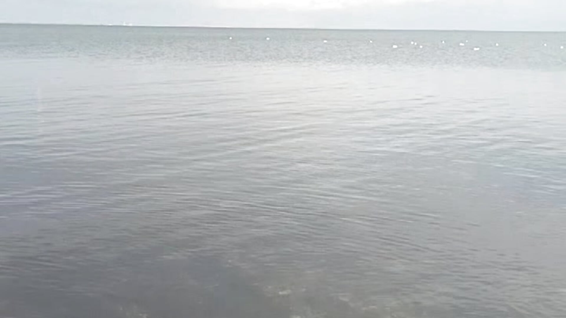 1000043541 - video by Nooran_noona cam model