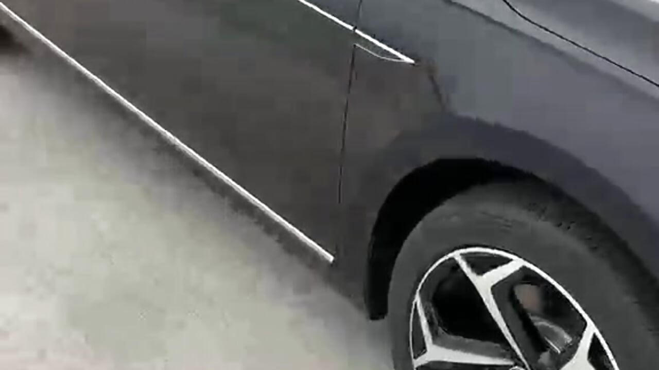 727 - clip cu Andreas2335 model videochat