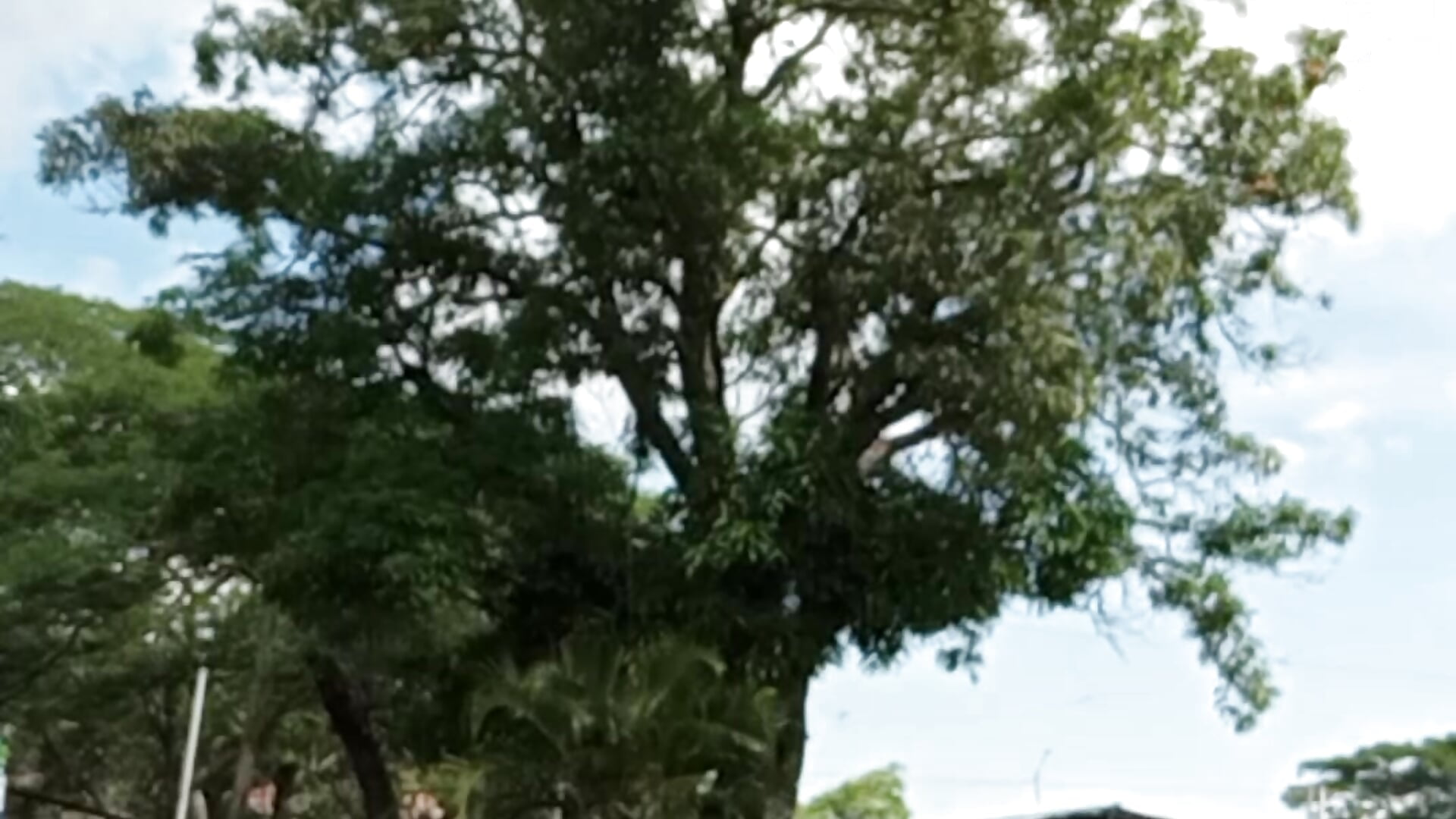 13277 - відео від вебкаммоделі Alejandro2226