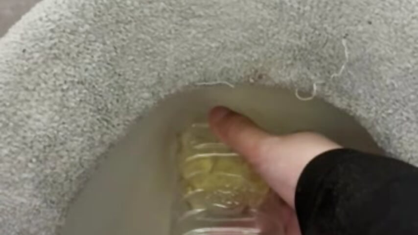 ※小スカ ペットボトルに……(/ω＼*) - video by Masui cam model